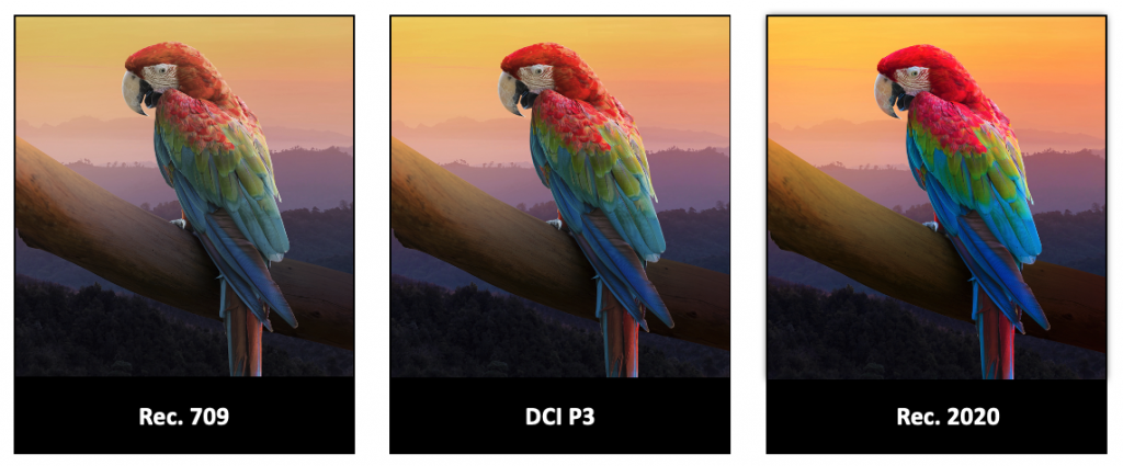 image_RGB_4.png
