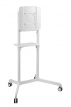Стойка мобильная Digis DSM-P566
