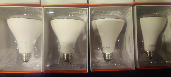 Светодиодные лампы SAVANT LIG-IBR30C4-00
