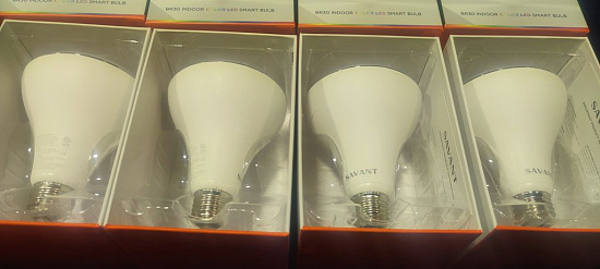 Светодиодные лампы SAVANT LIG-IBR30C4-00
