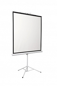 Экран на штативе Digis DSKD-1106 Экран на штативе Digis DSKD-1106