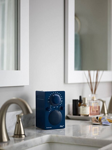 Портативный радиоприемник Tivoli PAL BT Цвет: Синий [Blue]