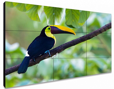 ЖК-панель для видеостен Exell EXPD-WA55AB15 55"